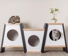 a cat sitting on top of two wooden boxes with holes in the front and bottom