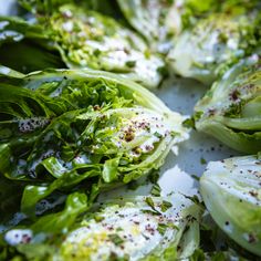 fresh lettuce with herbs and seasoning on top, ready to be eaten