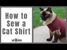 a siamese cat wearing a red sweater with the words how to sew a cat shirt