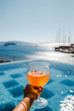 a person holding up a wine glass in front of a swimming pool with the ocean in the background