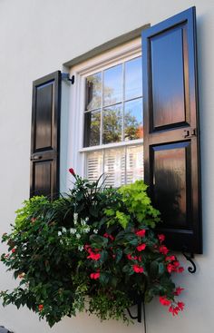 a window with black shutters and red flowers in the planter next to it