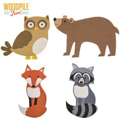 four different types of animals are shown in this image, including an owl, raccoon, and bear