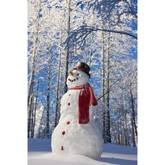 Snowman With Red Scarf And Black Top Hat Standing In Front Of Snow Covered Birch Image 1 Beautiful Winter Scenes, Kevin Smith, Snow Sculptures, I Love Snow, Winter Schnee, Winter Szenen, Christmas Surprise, I Love Winter, Winter Love