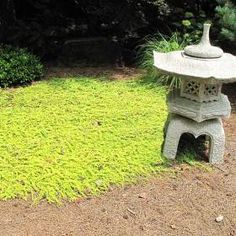 a stone lantern sitting on top of a lush green field