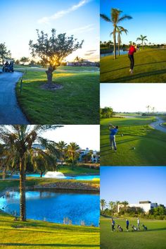 four different shots of people playing golf in the sun and on the grass with palm trees