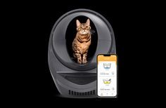 Cat essentials, pet essentials, litterbox ideas, litter robot Litter Box Smell, Best Litter Box, Litter Tracking, Automatic Litter Box, Litter Robot, Self Cleaning Litter Box, Best Cat Litter, Cleaning Litter Box, Cat Litter Tray