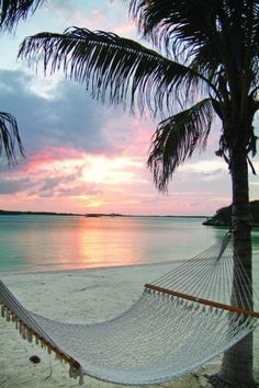 a hammock hanging from a palm tree on the beach at sunset or sunrise