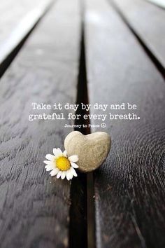 a heart shaped rock sitting on top of a wooden table next to a white flower