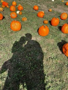 the shadow of a person standing in front of pumpkins