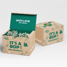 two cardboard boxes with plants in them sitting side by side