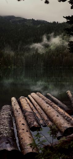 logs are laying on the water in front of some trees and mountains with fog rolling over them