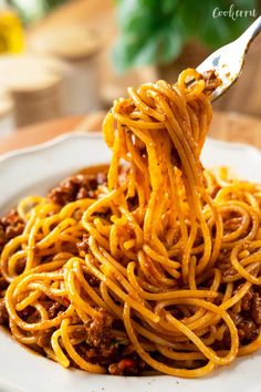 a fork full of spaghetti on a white plate