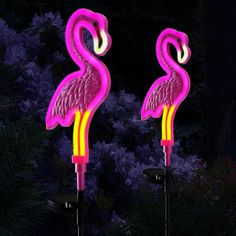 two pink flamingos standing next to each other in front of purple flowers at night