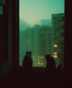 two cats sitting on a window sill looking out at the city lights in the distance