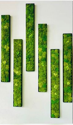 green moss covered wall hangings on the side of a white wall