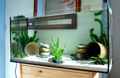 an aquarium with rocks and plants in it