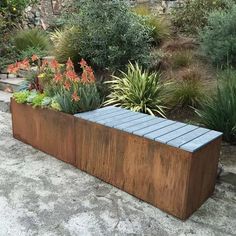 a wooden bench sitting in the middle of a garden filled with flowers and plants on top of cement ground