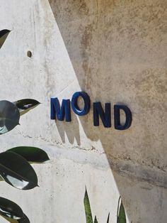 there is a sign that says mond on the side of a building with plants