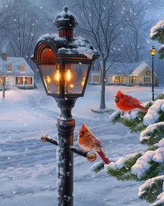 a painting of two cardinals on a street light in the snow by a christmas tree