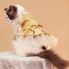 a cat wearing a dress sitting on top of a table