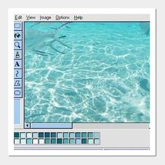 a computer screen with the image window open to show water and other things in it