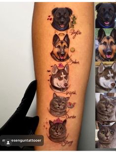 an image of dogs and cats on the leg with their names in different languages,