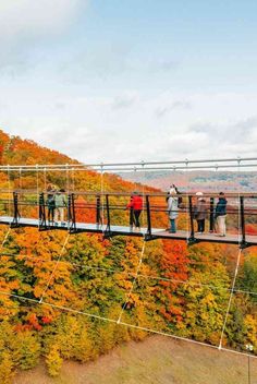 people standing on the glass walkway above autumn foliage