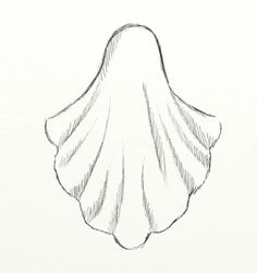 a pencil drawing of a shell