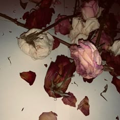 dead flowers on the ground with leaves scattered around them