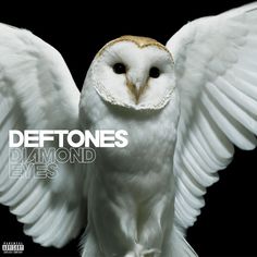 an owl with its wings spread out in front of a black background that says deftones diamond eyes instruments