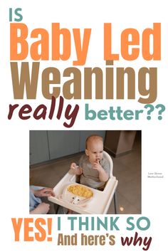 is baby led weaning really better? Led Weaning Meals, Baby Led Weaning 6 Months, Baby Led Weaning Meals