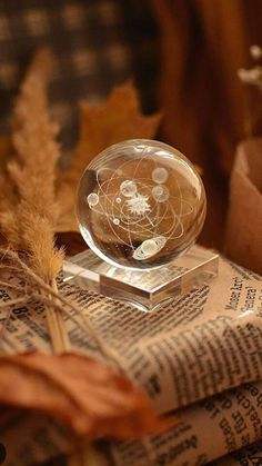 a glass ball sitting on top of a stack of books next to some dried leaves