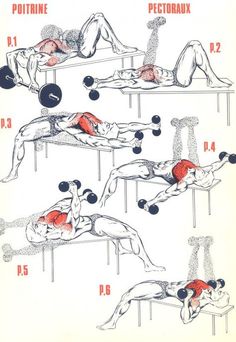 an image of a man doing exercises with dumbbells and barbells in different positions