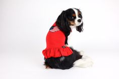 a black and white dog wearing a red shirt with an american flag on it's chest