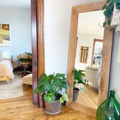 there is a potted plant sitting on the floor in front of a large mirror