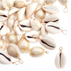 several seashells are shown together on a white background with gold chains and clasps