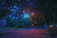 an empty street at night with no cars on it and trees lining the sides of the road