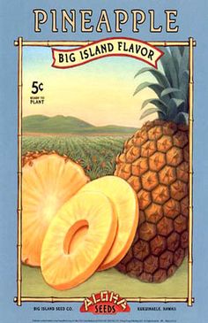 a label for pineapple fruit is shown