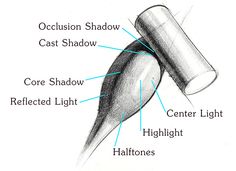 an image of the parts of a human hand