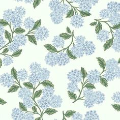 blue flowers and green leaves are on a white wallpaper with light blue background, which is very similar to the lilacs