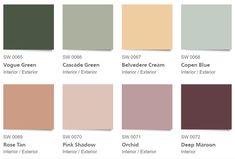 the color chart for different shades of paint