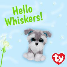 a stuffed dog sitting next to a dandelion with the words hello whiskers on it