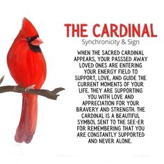 a red bird sitting on top of a tree branch next to a poem about cardinalism