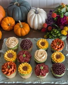 an instagram page with cupcakes decorated like flowers and pumpkins on it