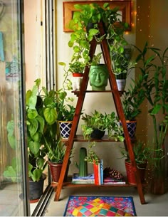 a shelf filled with potted plants next to a window