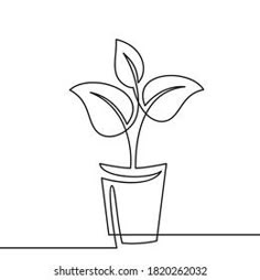 a line drawing of a plant in a pot