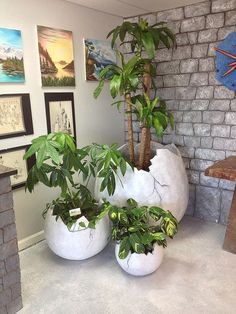 three potted plants are sitting in front of a brick wall with paintings on it