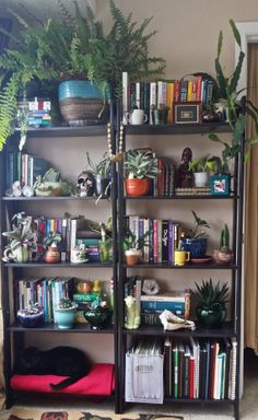 a book shelf filled with lots of books and plants