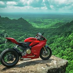 a red motorcycle parked on top of a rock in the middle of a lush green valley