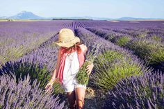 a woman in a straw hat walks through a lavender field